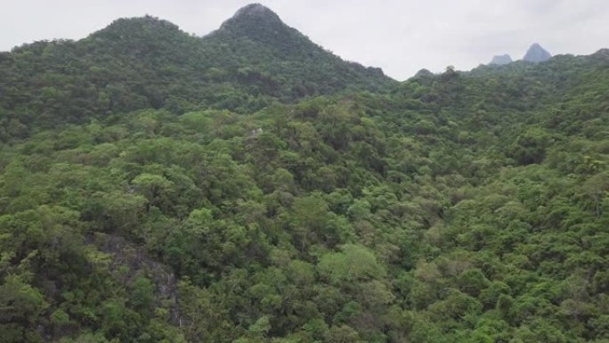 树顶和山上移动的厚雨林的4k分辨率鸟瞰图