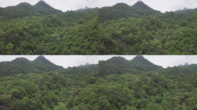 树顶和山上移动的厚雨林的4k分辨率鸟瞰图