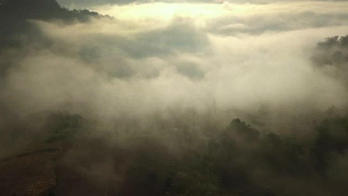 雾的鸟瞰图流过泰国北部的雨林山