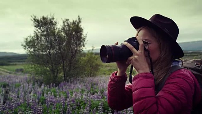 女摄影师探索羽扇草甸