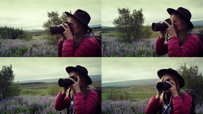 女摄影师探索羽扇草甸