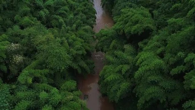 鸟瞰小溪流动的竹林，4k