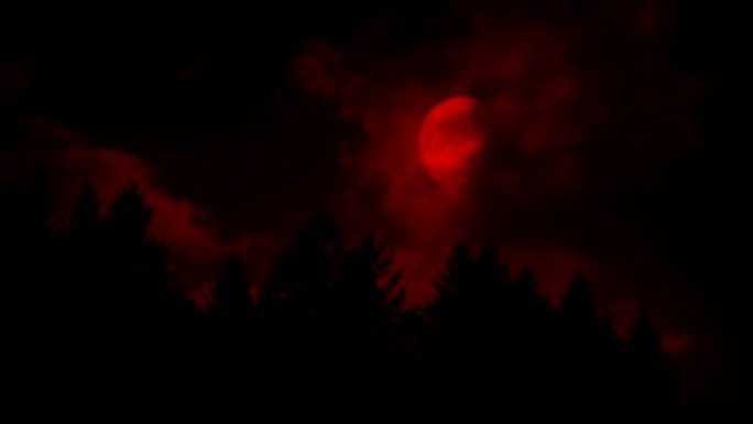 血红色的月亮从树林中的云层后面出来