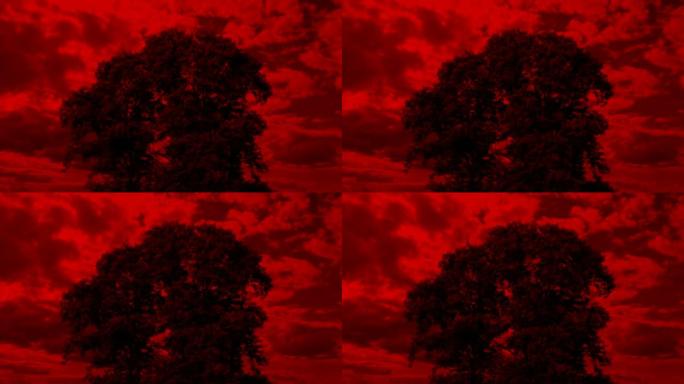 天启红色天空的树梦境噩梦血红天空