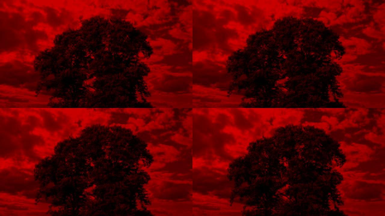 天启红色天空的树梦境噩梦血红天空