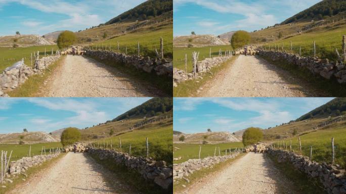 WS牧羊人将羊群带到牧场