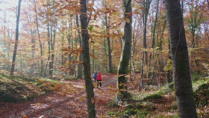 精力充沛的西班牙老年人沿着秋天的森林徒步旅行