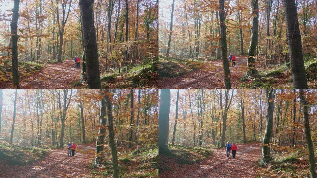精力充沛的西班牙老年人沿着秋天的森林徒步旅行