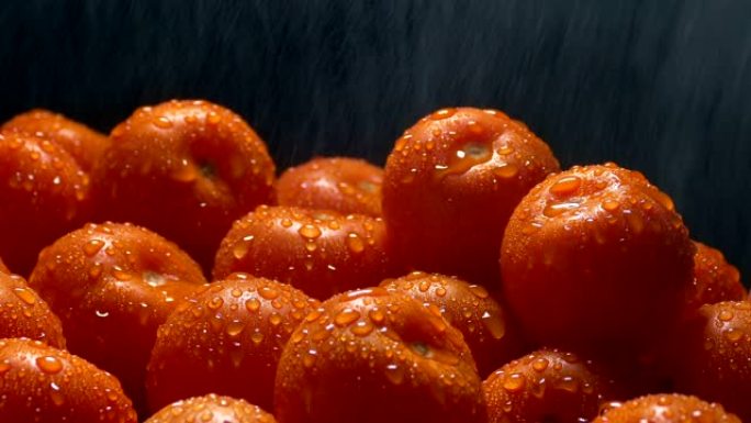 用细喷雾洗涤西红柿