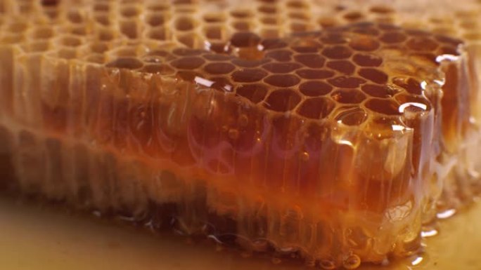 蜂蜜掉落蜂蜜梳土蜂蜜蜂王浆百花蜂蜜野生