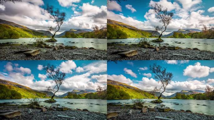 威尔士Llyn Padarn湖的孤树-延时跟踪镜头