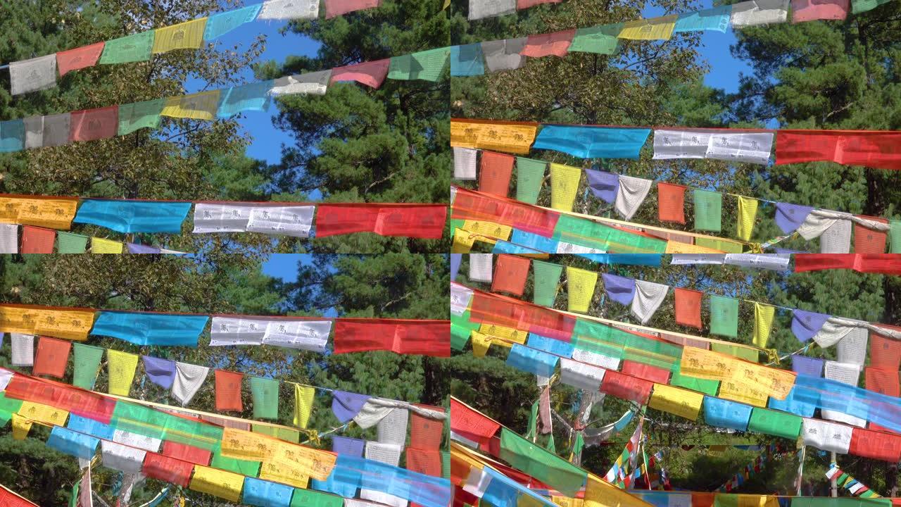 近距离观察:彩色的经幡横跨西藏公园的街道
