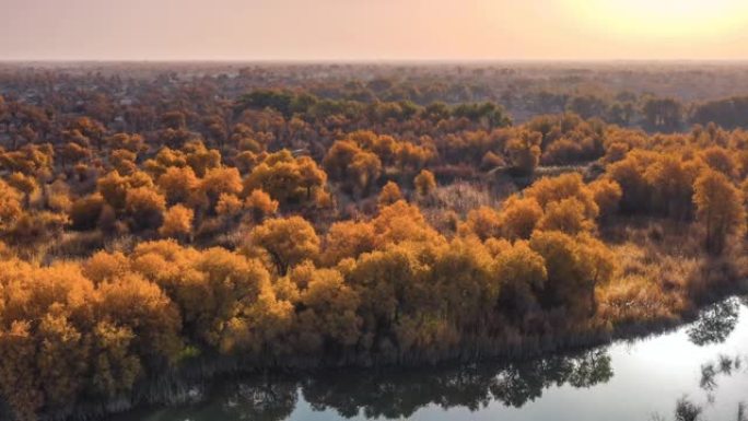 新疆鸟瞰图湿地公园河流森林