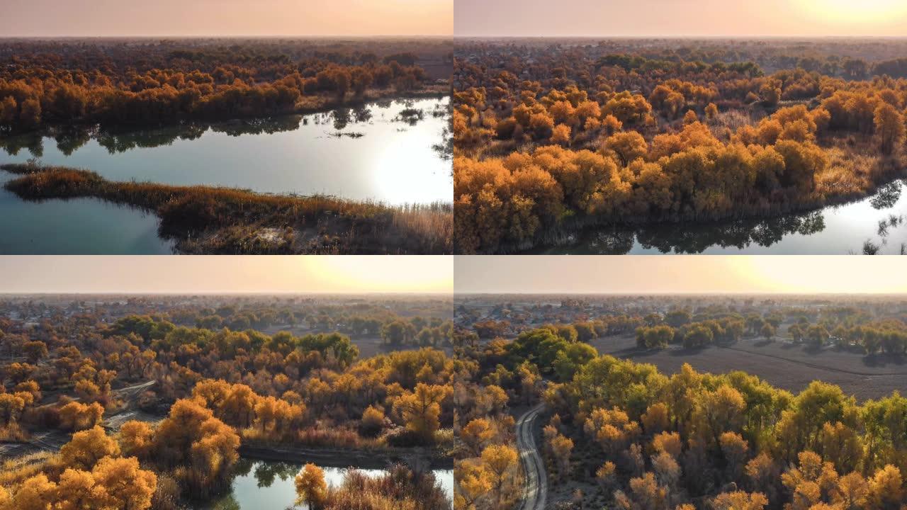 新疆鸟瞰图湿地公园河流森林
