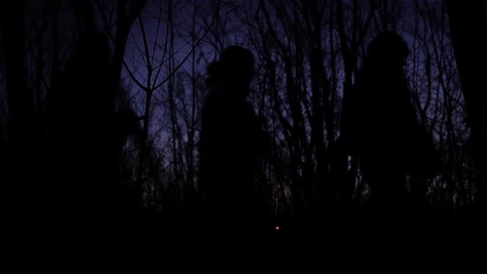 一群人晚上穿过树林。