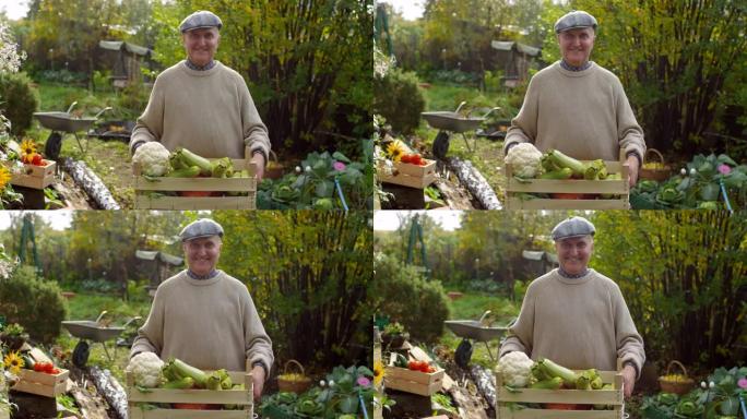 快乐的高加索男性园丁与一箱新鲜蔬菜摆姿势