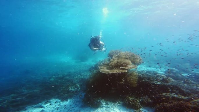 试图近距离观察海洋生物海底世界潜水爱好者