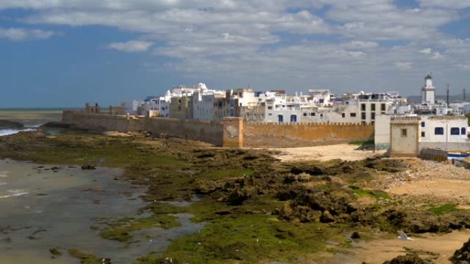 摩洛哥大西洋沿岸的索维拉市。海鸥飞翔。