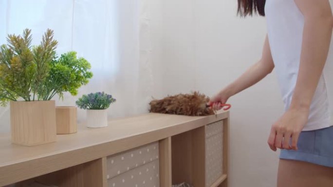 亚洲女人打扫客厅，美丽的日本女人用鸡毛掸子清理家里架子上的灰尘。生活方式女性使用时间清洁家庭概念。慢