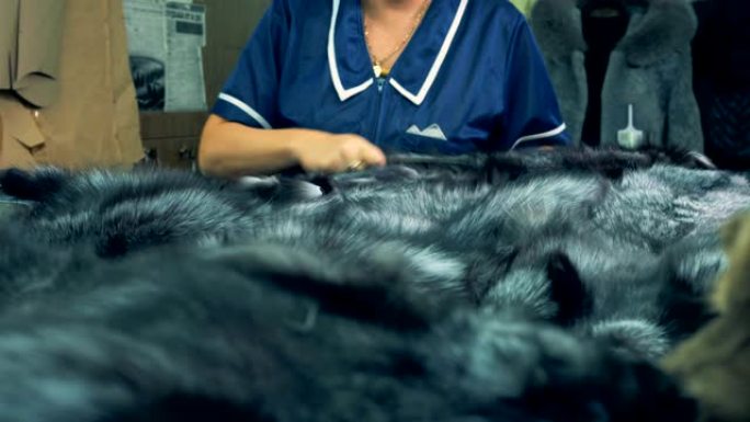 工厂工人在桌子上刷动物皮毛，特写。