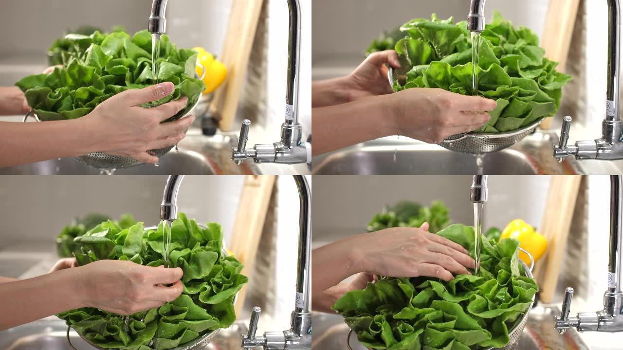 洗蔬菜沙拉健康减肥无污染