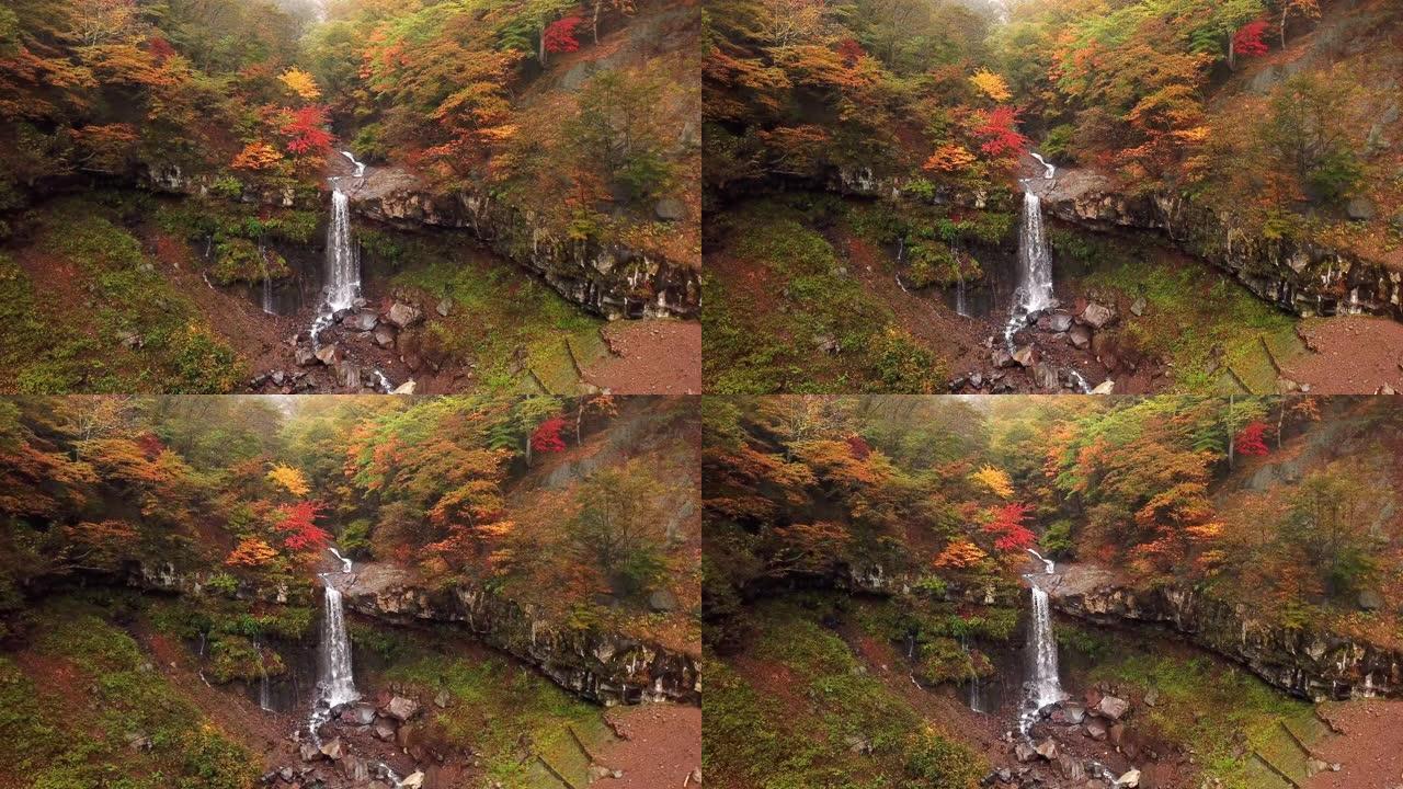 森林中的瀑布变色了日本的秋天日本上高知长野的森林