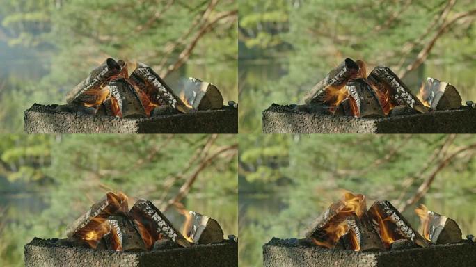瑞典森林中的篝火野外野营烧烤烧炭实拍视频
