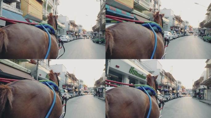 兰邦出租的马。泰国。