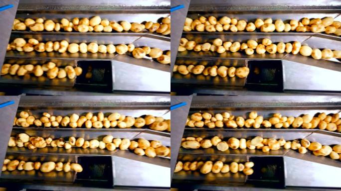 分拣输送机在食品工厂移动去皮的土豆。