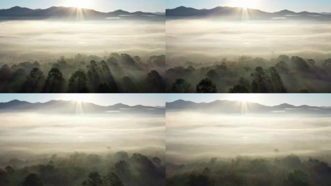 薄雾中日出时的鸟瞰图