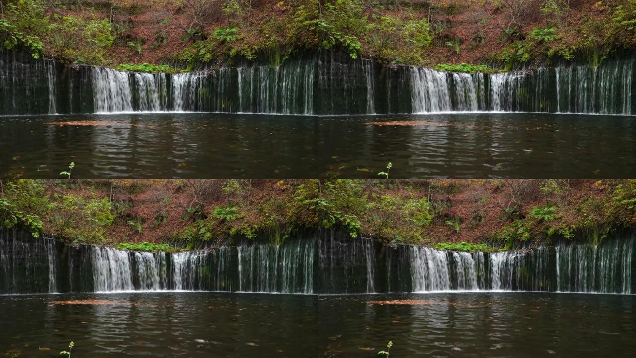 4k实时: 日本长野轻井泽白衣瀑布。