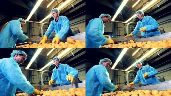 两名工厂员工正在切割马铃薯块茎