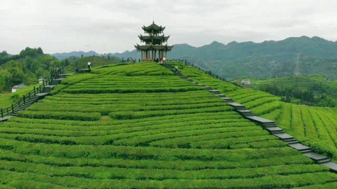 鸟瞰茶园与中国传统凉亭