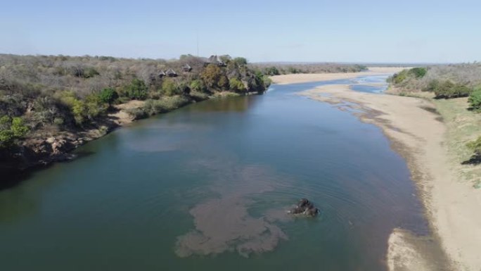 在津巴布韦的Save河中游泳的四只大象的4k高鸟瞰图
