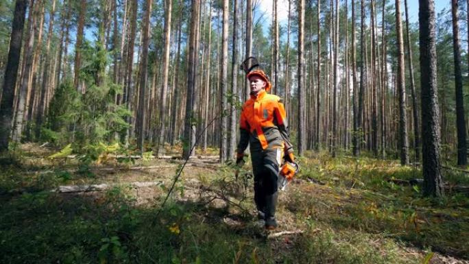 穿着工作服的伍德曼正沿着森林行走
