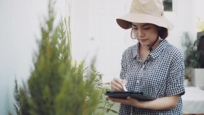 亚洲妇女在花园里种植前检查作物。