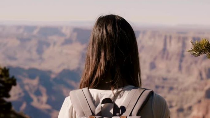 后视图特写快乐的年轻女性游客，背着背包观看美国亚利桑那州大峡谷的史诗般的夏季全景。