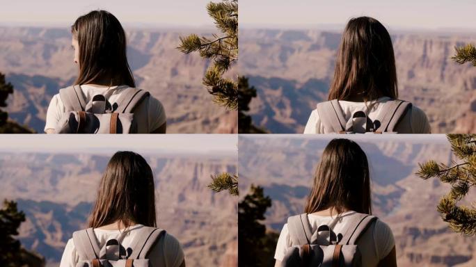 后视图特写快乐的年轻女性游客，背着背包观看美国亚利桑那州大峡谷的史诗般的夏季全景。