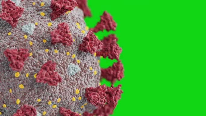 新型冠状病毒肺炎病毒的极端特写结构在电子显微镜无缝。绿色屏幕上冠状病毒2019-ncov DNA的循