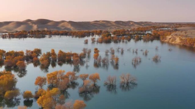 新疆鸟瞰图绿洲湿地湖水湖泊