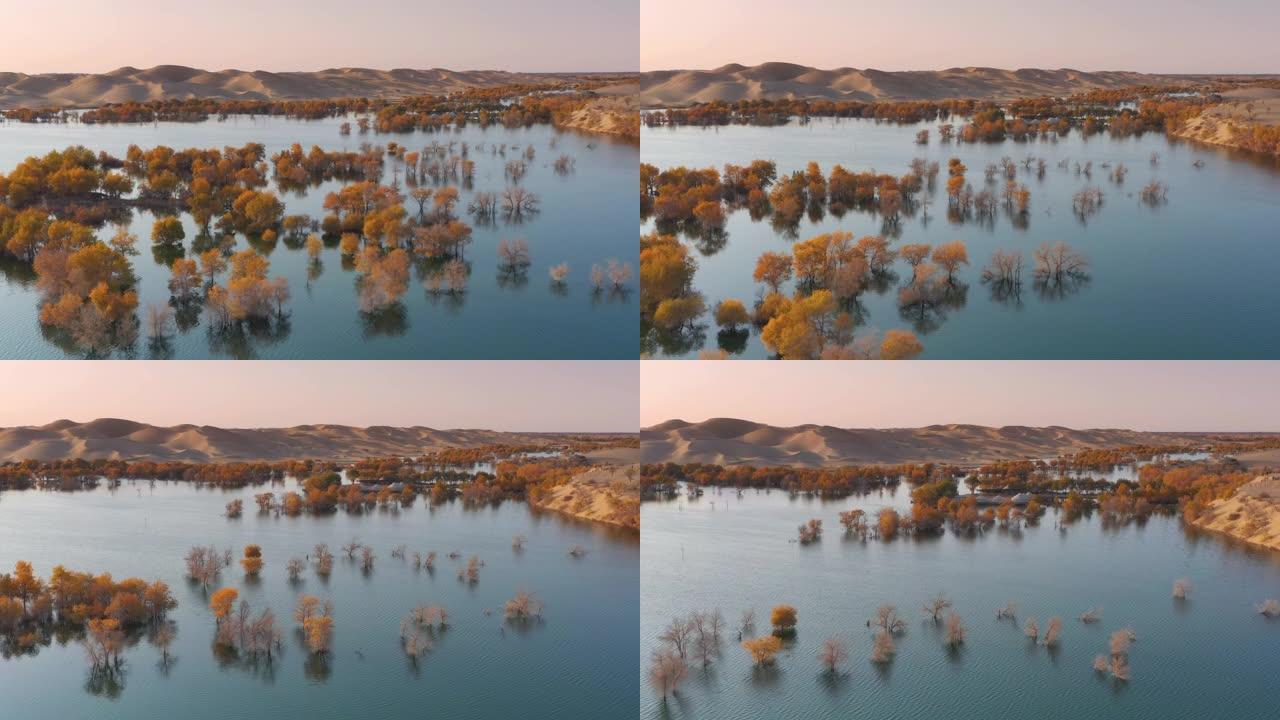 新疆鸟瞰图绿洲湿地湖水湖泊