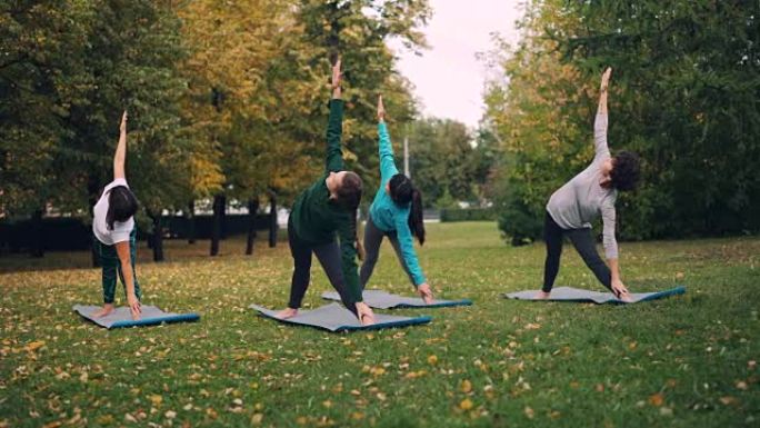 穿着运动服的年轻女士正在公园里锻炼，在绿色和黄色草地上的垫子上做瑜伽。健康的生活方式，现代的青年和秋