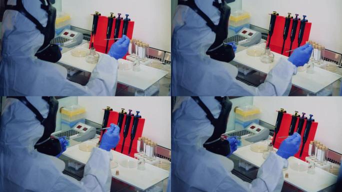 实验室工作人员正在加热检测covid-19样本。科学家检测Covid-19、冠状病毒样本。