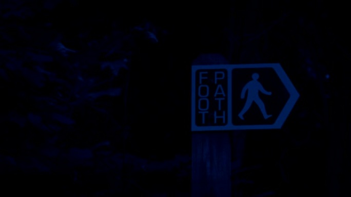 夜间森林中的步行路径标志