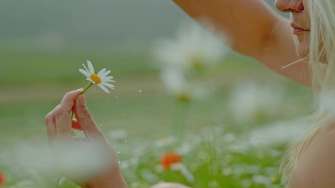 铜时间翘曲效果超慢动作女人摘花瓣湿鲜菊花