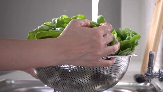 女人在厨房的漏勺中洗手绿叶蔬菜的特写镜头