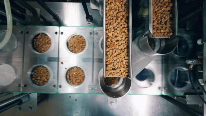 工厂机器将干燥的面包倒入输送机上的塑料容器中。食品包装过程