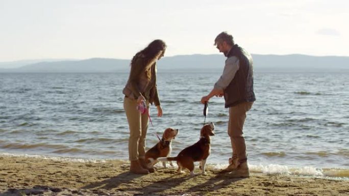 夫妇在湖岸给比格犬零食