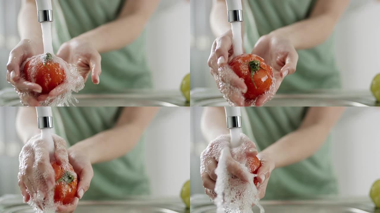 洗西红柿清洗番茄洗蔬菜清洗柿子