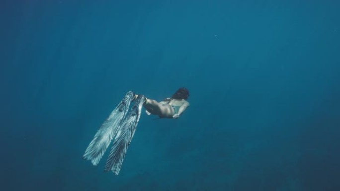 大海是她的元素美女潜浮美女海底深海潜浮